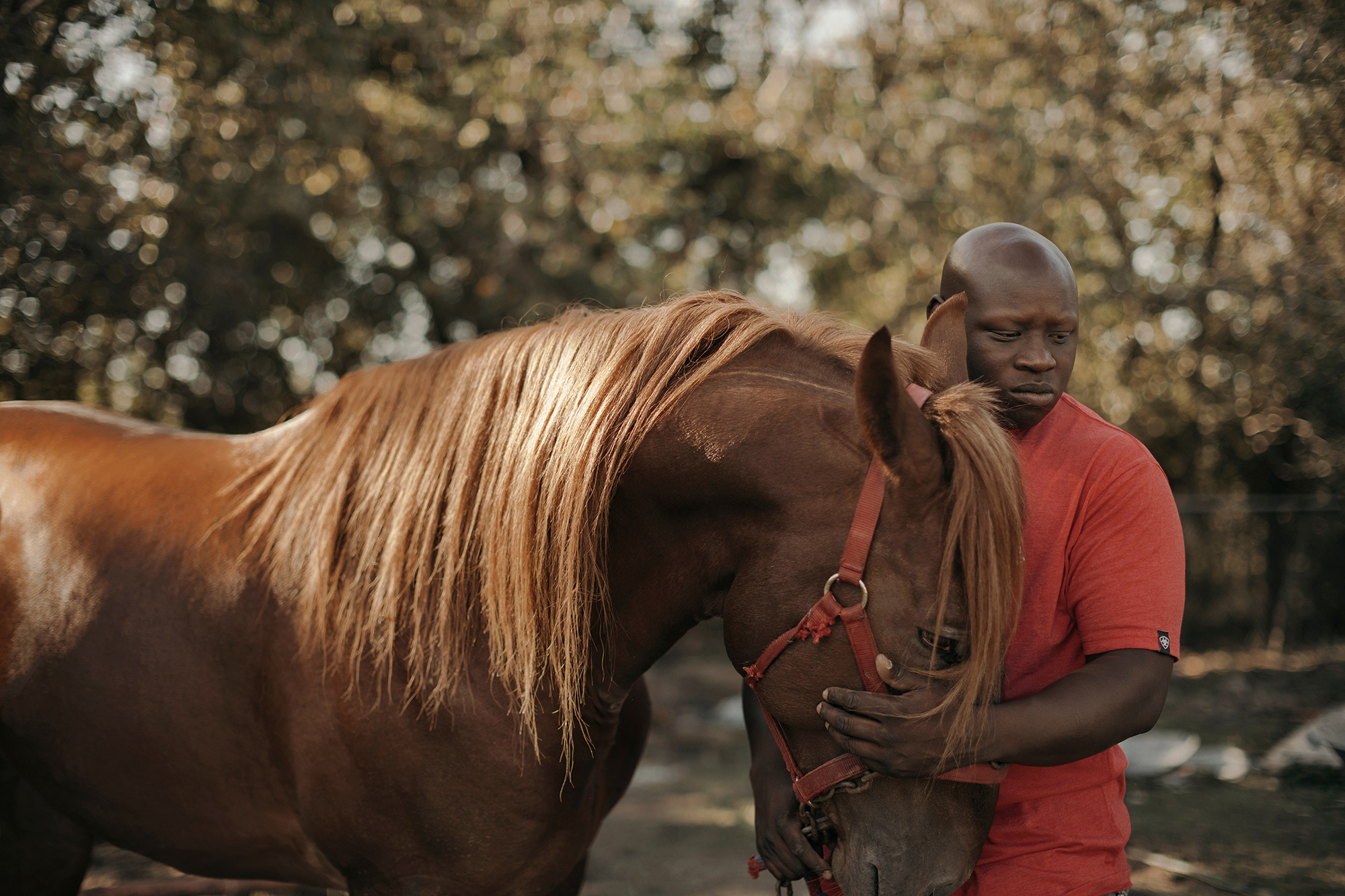 Baldenna Tha King, Houston zydeco musician and stable master, the trail-riding rapper, photographed with one of his horses at his stables in Houston, photographed by Todd Spoth.